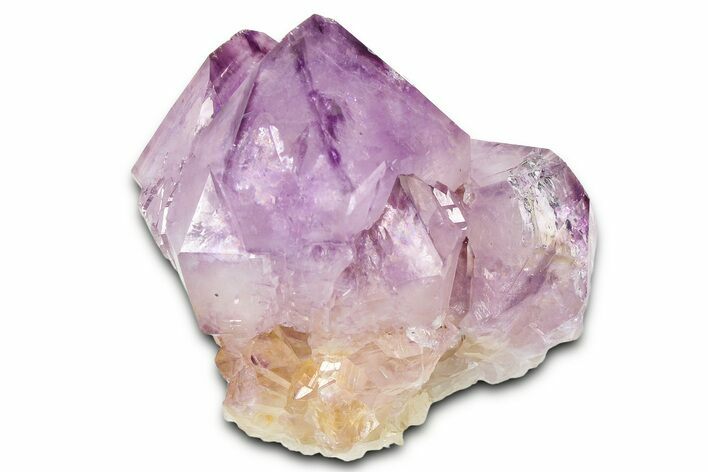 Cactus Quartz (Amethyst) Crystal - South Africa #371684